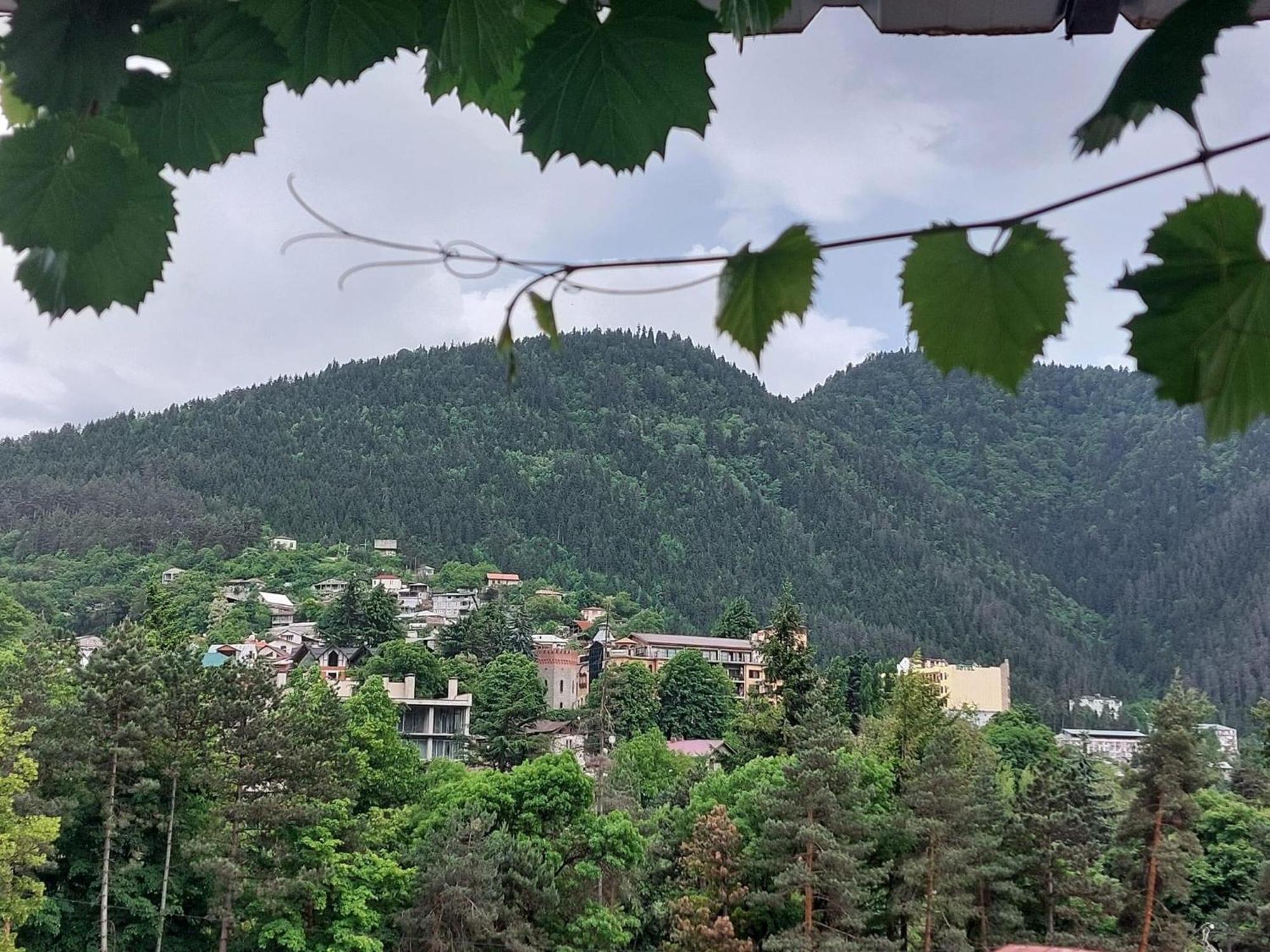 Guesthouse Saba Bordžomi Exteriér fotografie